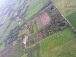 Laanboomkwekerij Geurkink Luchtfoto