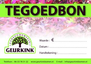 boom kopen